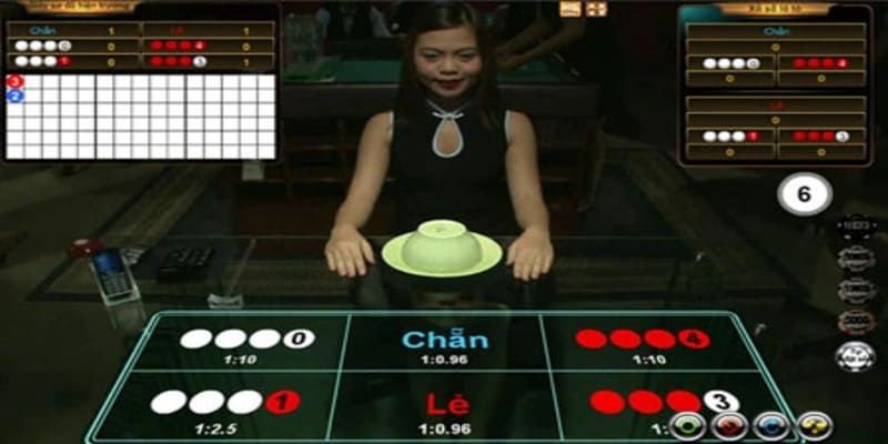 trang web chơi xóc đĩa